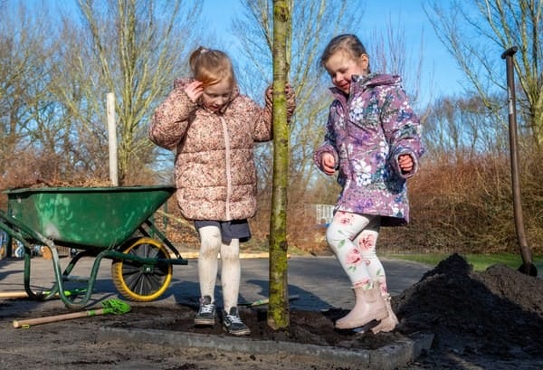 Alkmaar deelt gratis bomen uit