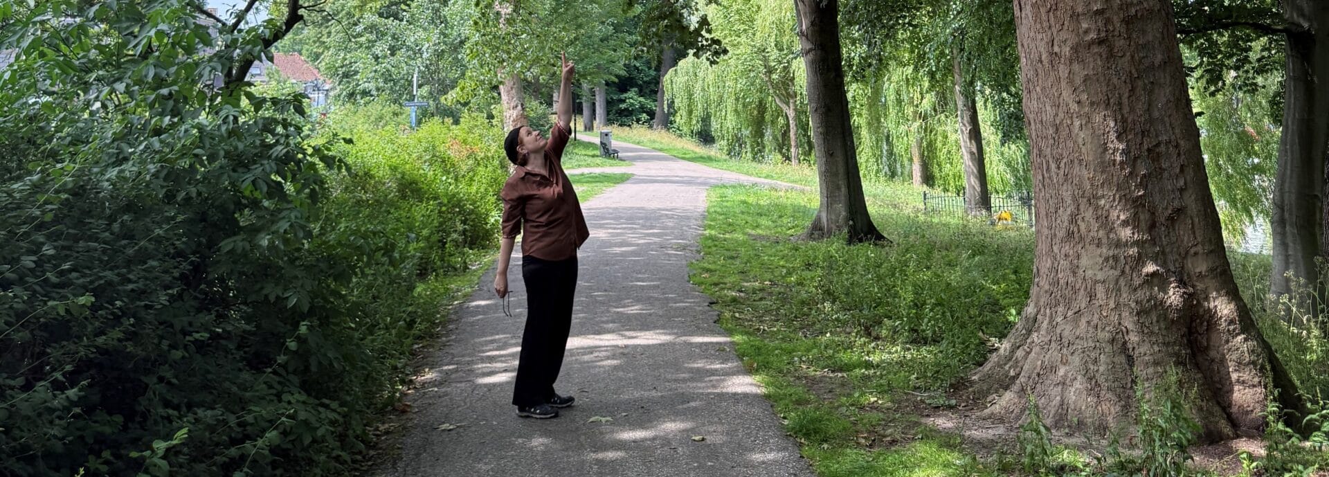 Boomjuweel op het Munnikenbolwerk
