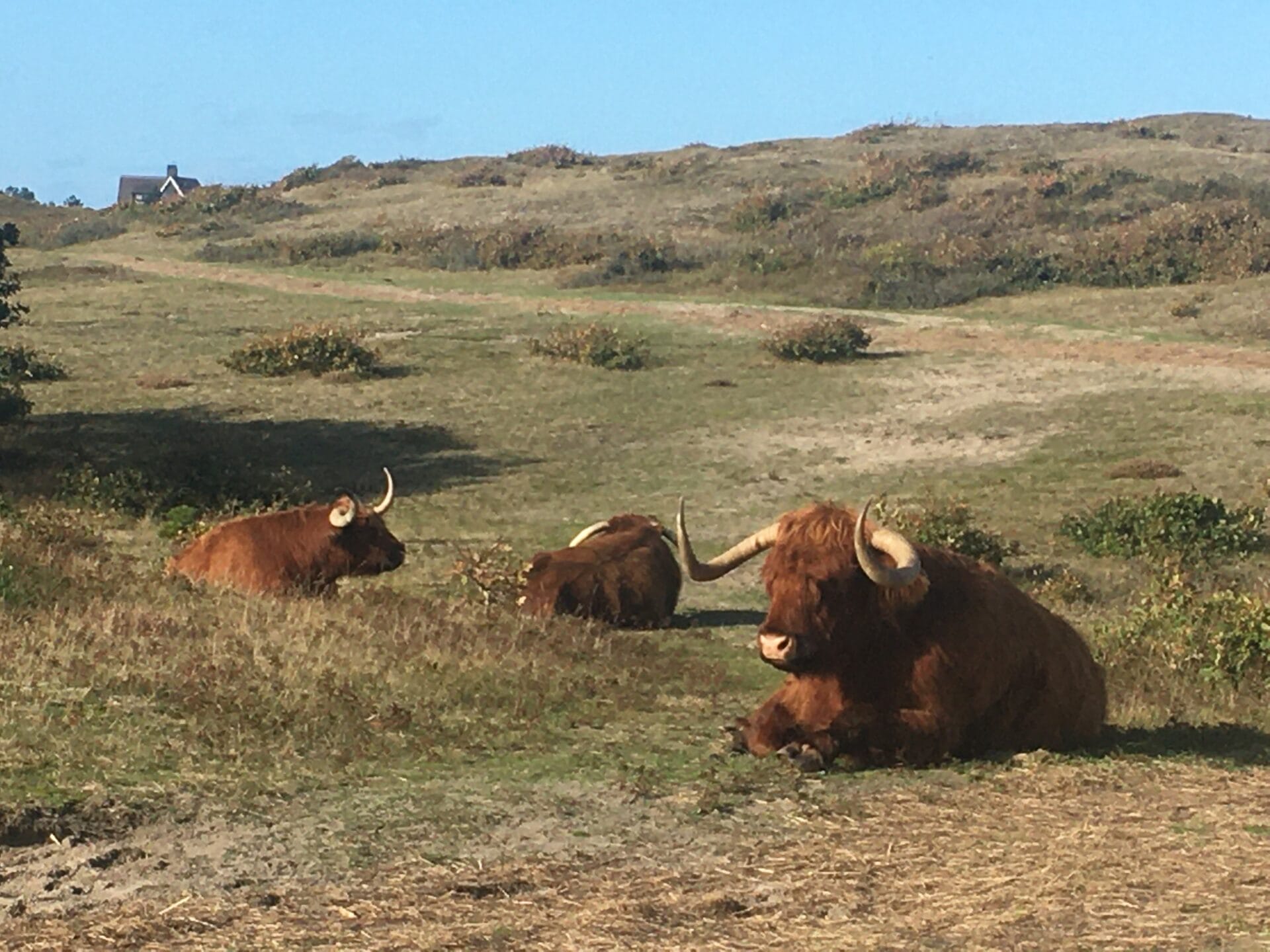 Met IVN-gids op pad door de duinen bij Bergen aan Zee