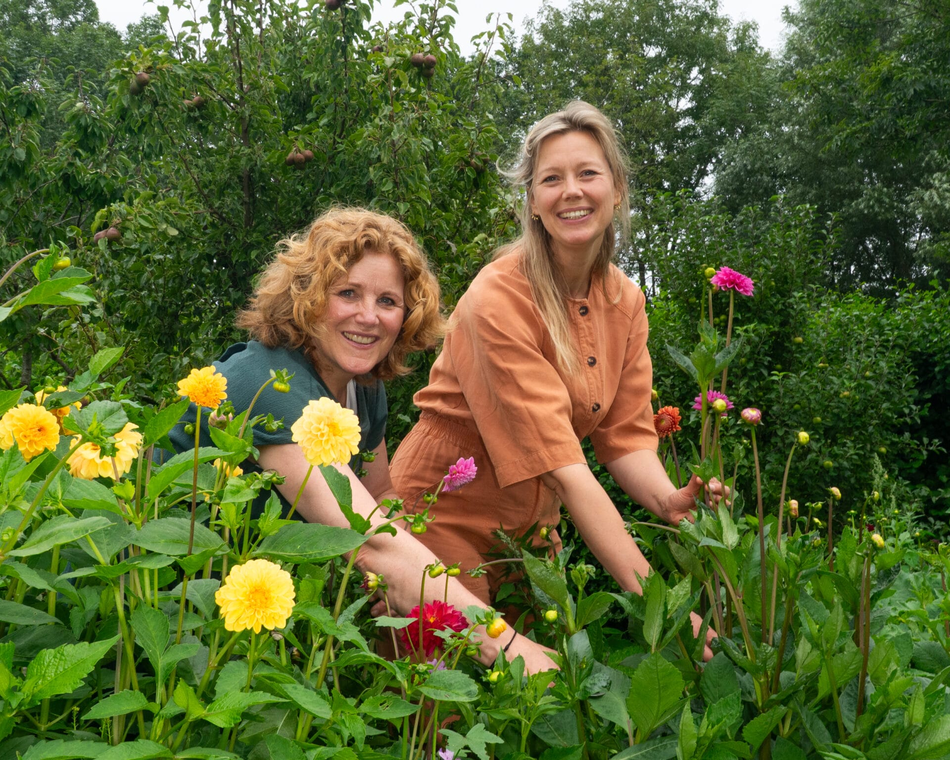 Biologische bloemen van Afke en Mirjam