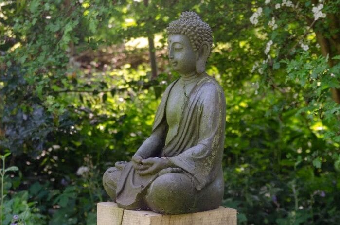 Helemaal Zen in Alkmaar