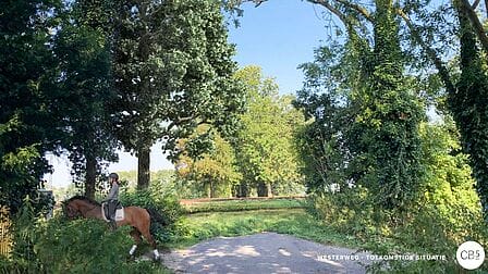 Heilooërbos in beroering