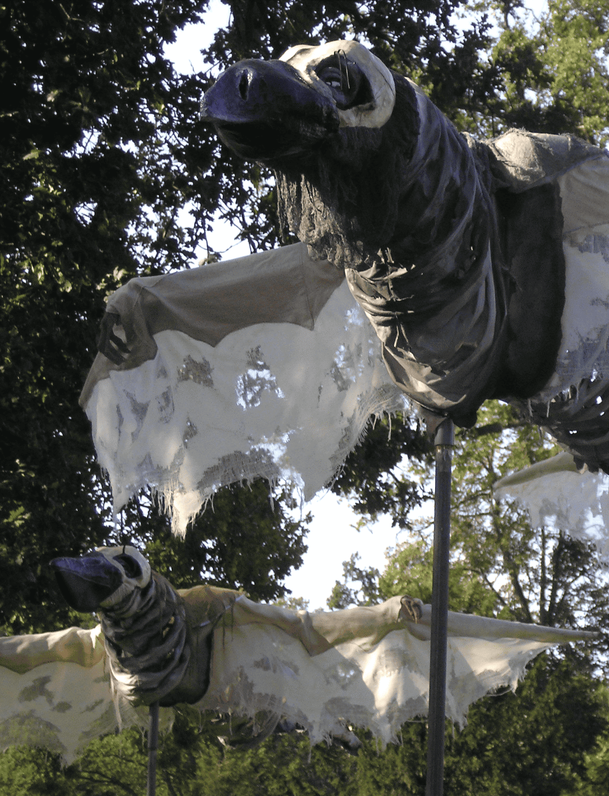 Linda Anneveld in Kunstuitleen Alkmaar