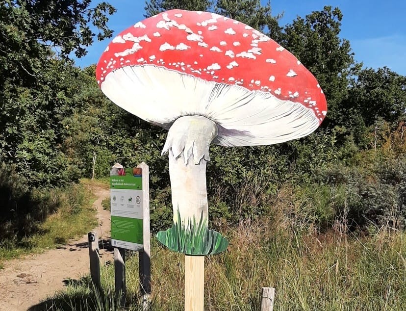 Paddenstoelen, soep en verhalen