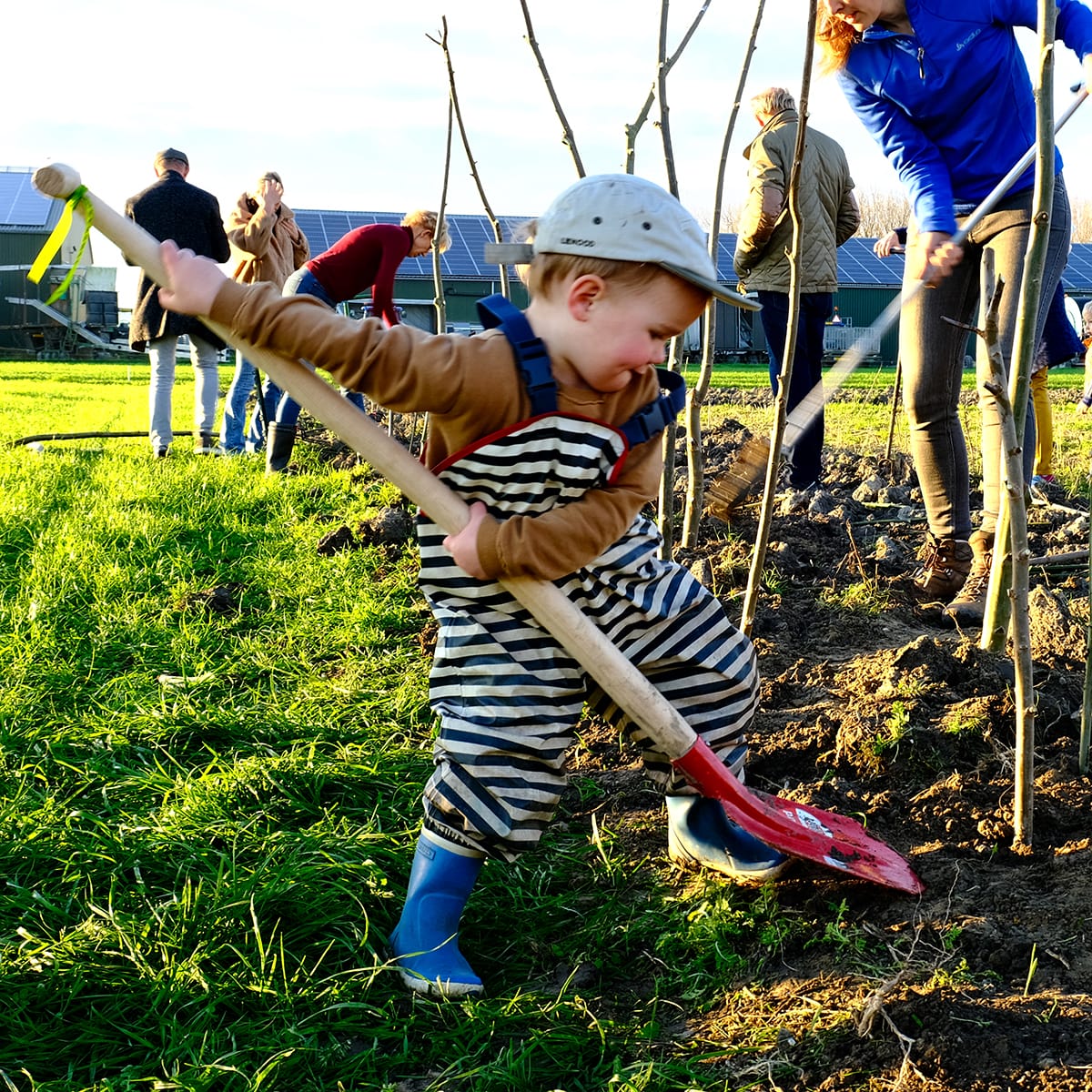 Bomenplantdag in voedselbos Heer Ikigai