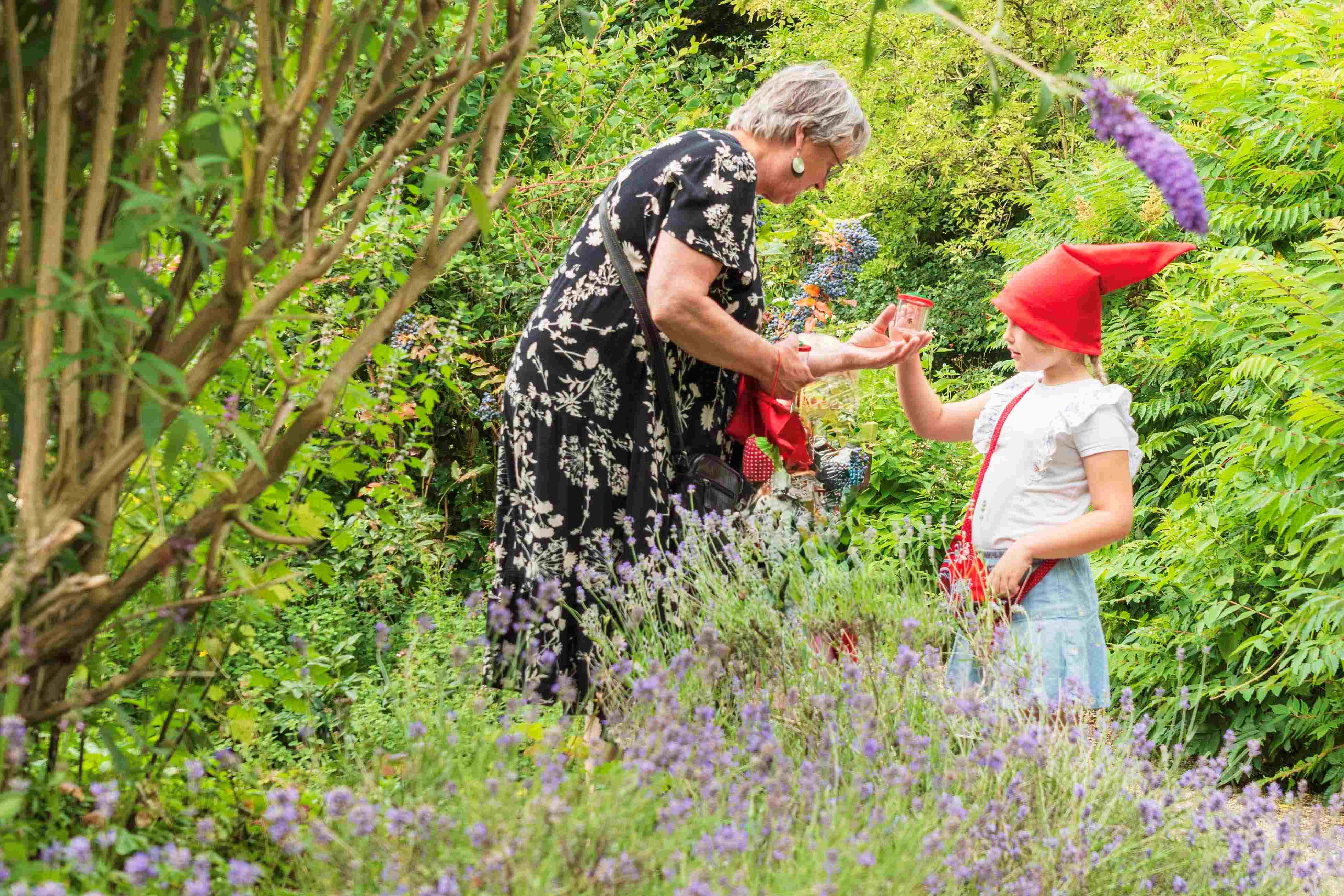 Kabouterpad in Hortus Alkmaar