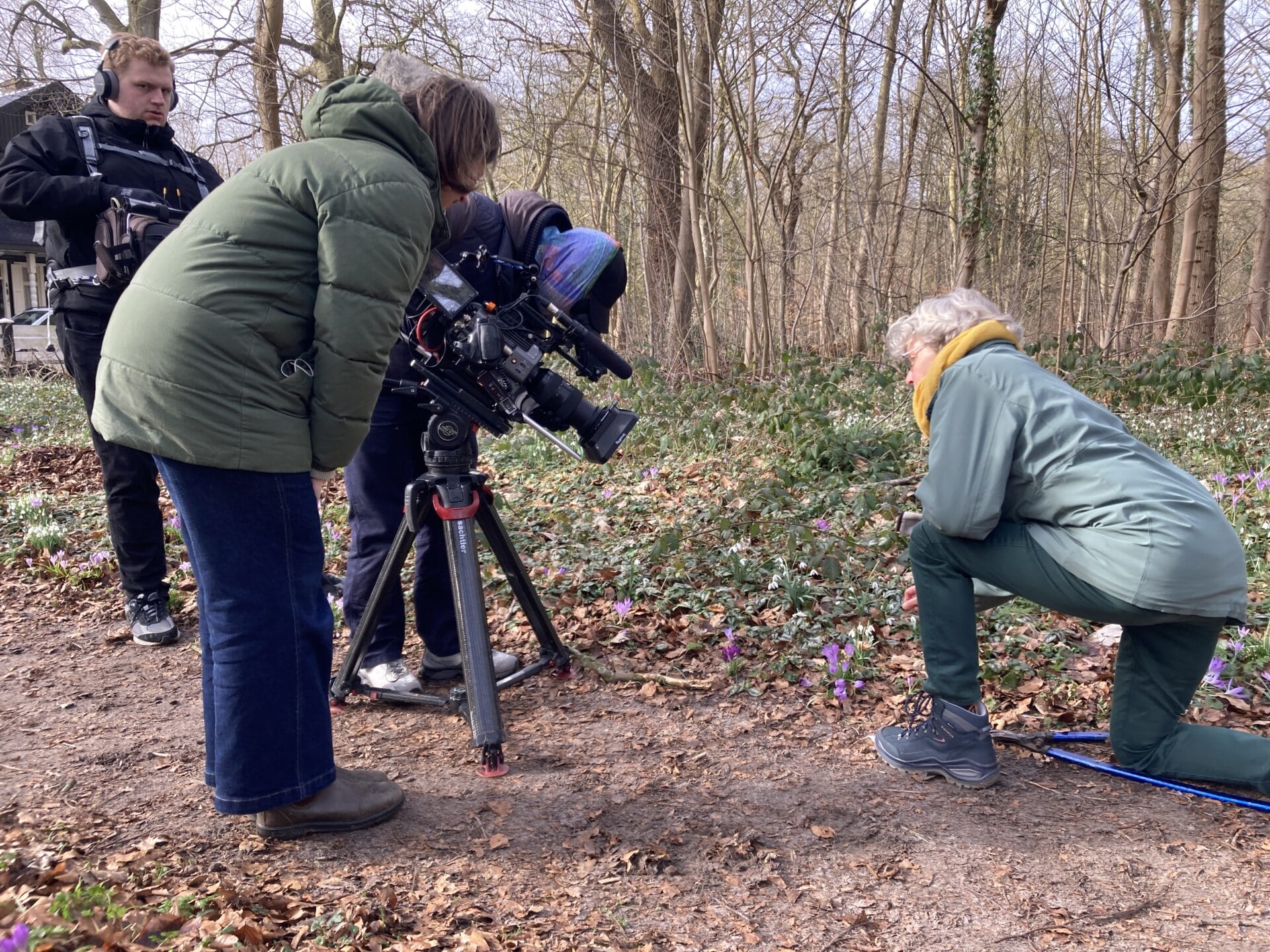 Voorjaarskleuren op tv vanuit Nijenburg