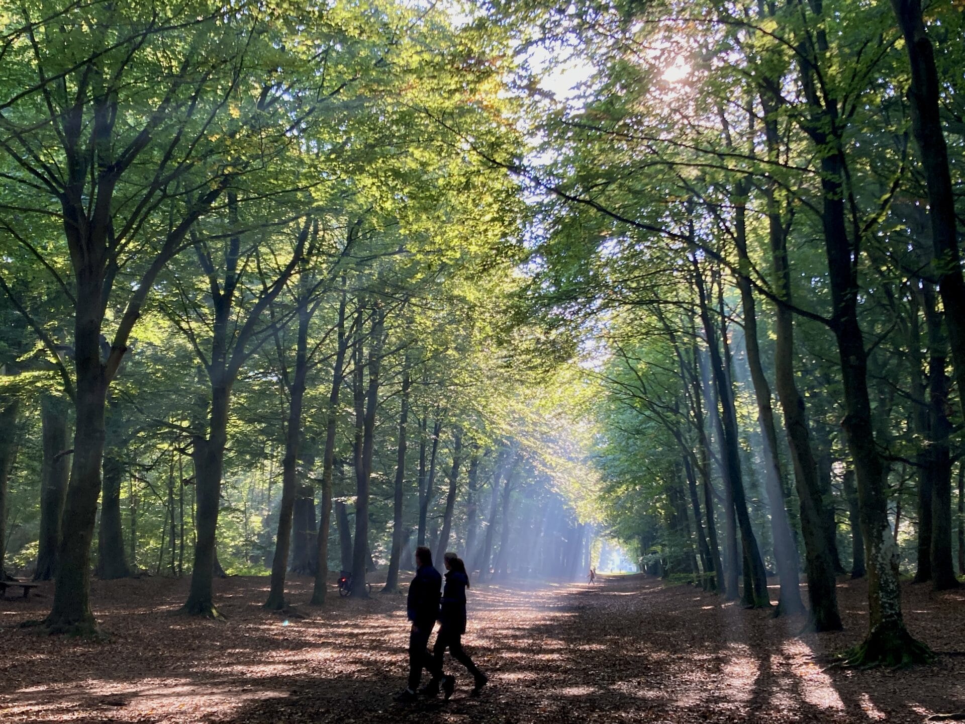 Meedenken over de toekomst van Landgoed Nijenburg