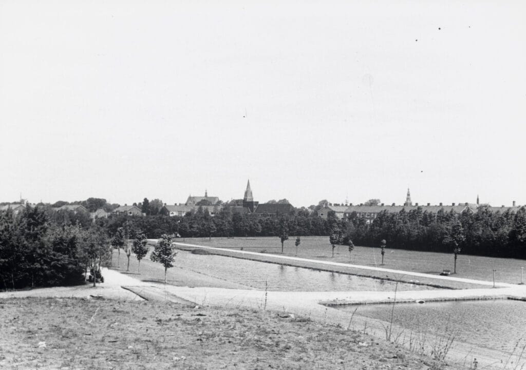 Het verhaal van de Oosterhout