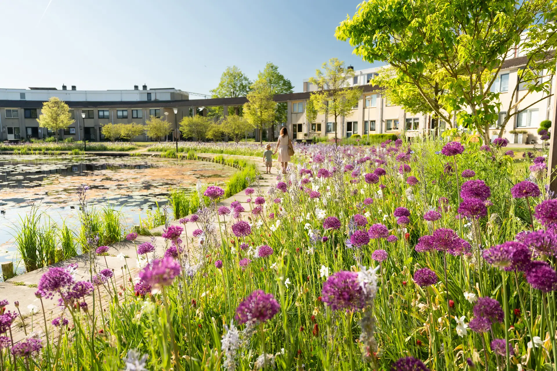Alkmaar in de race voor wereldprijs
