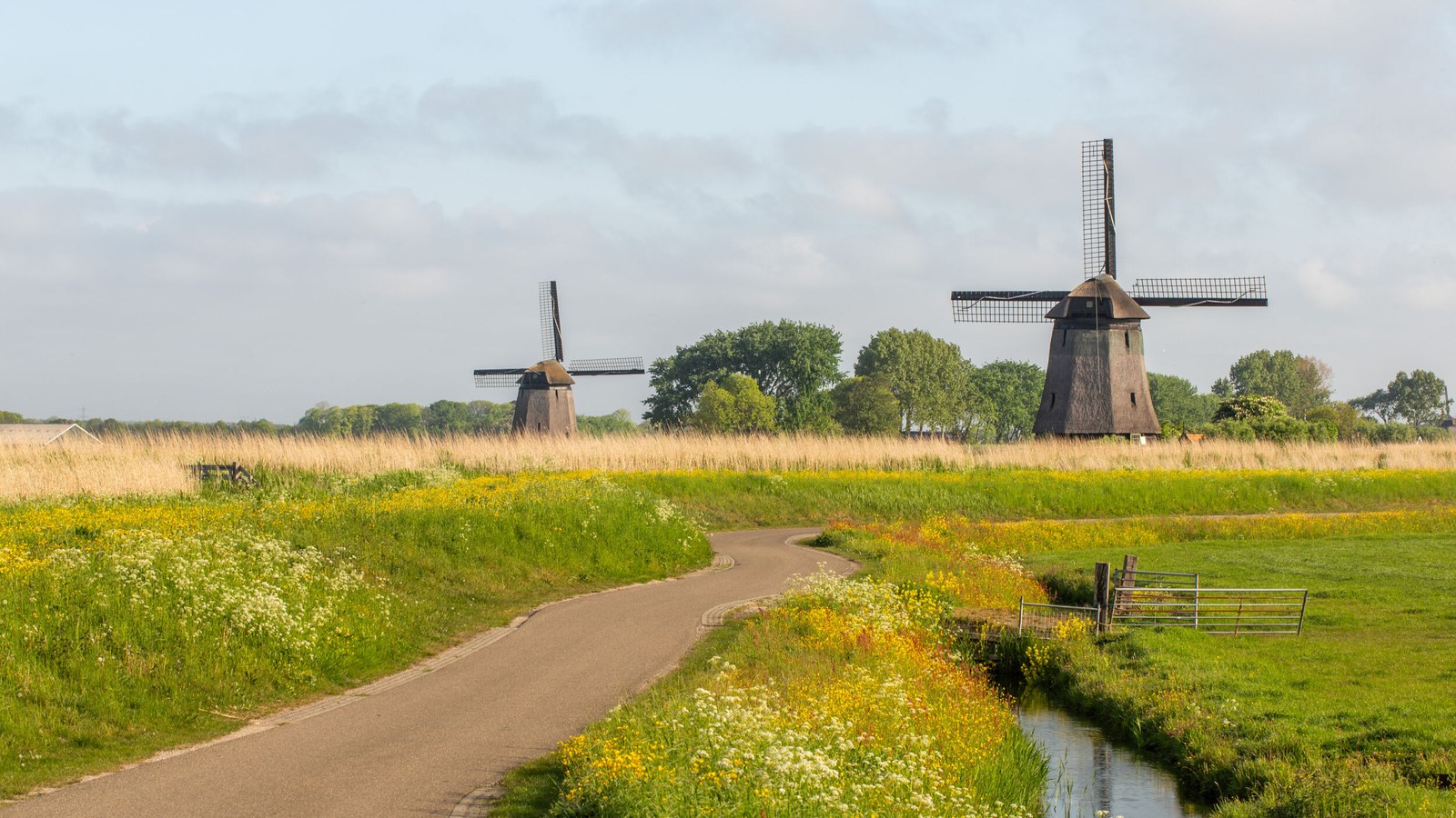 Meebesturen over water in de regio?