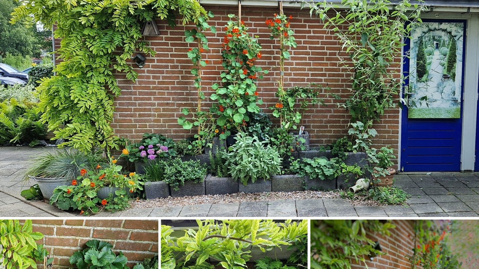 Gerda Reus zoekt groene gevels