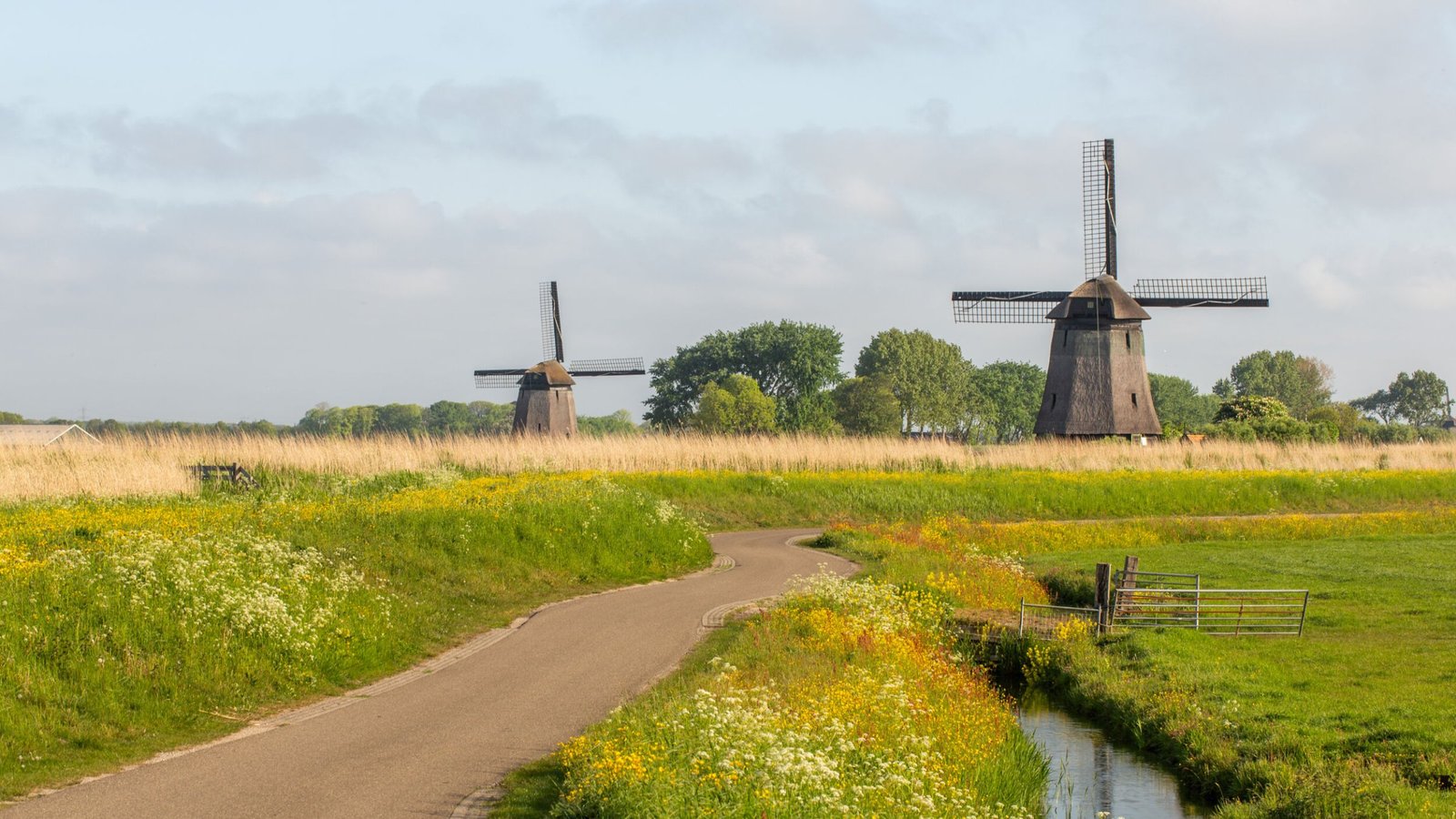 Meebesturen over water in de regio?