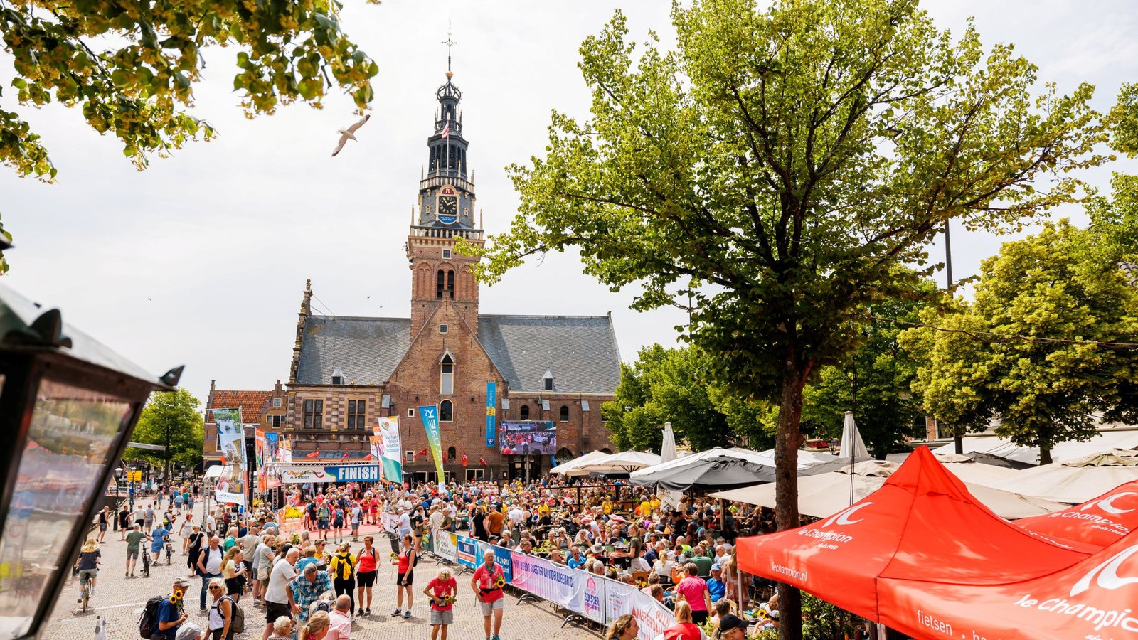 Wandelmaatje gevonden op de 4 van Alkmaar