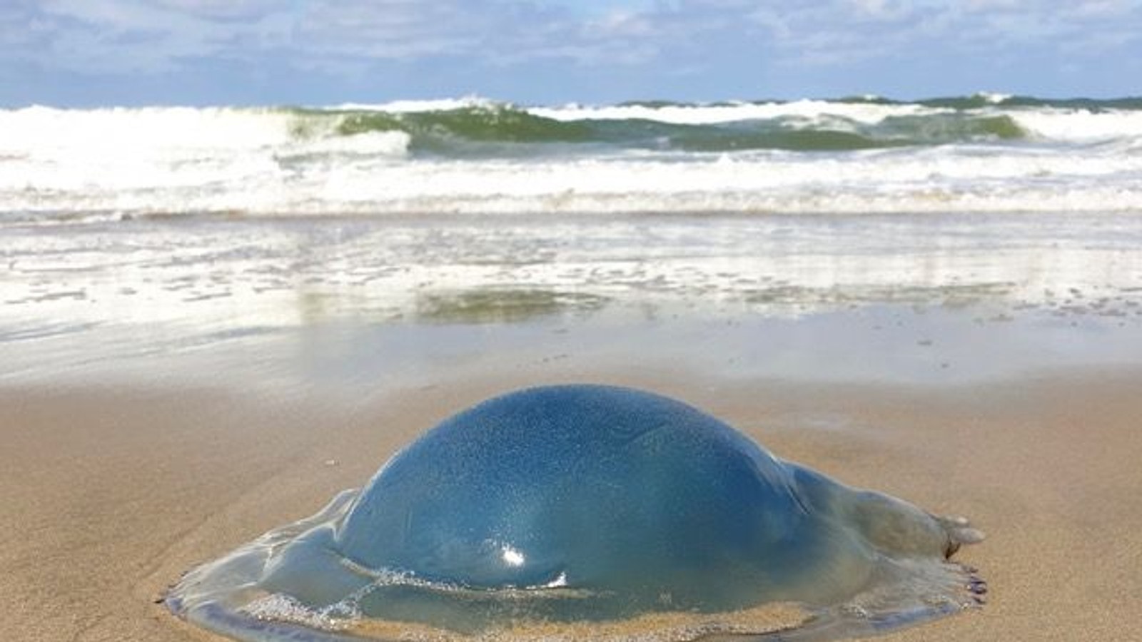 20250803_114620 2.jpeg