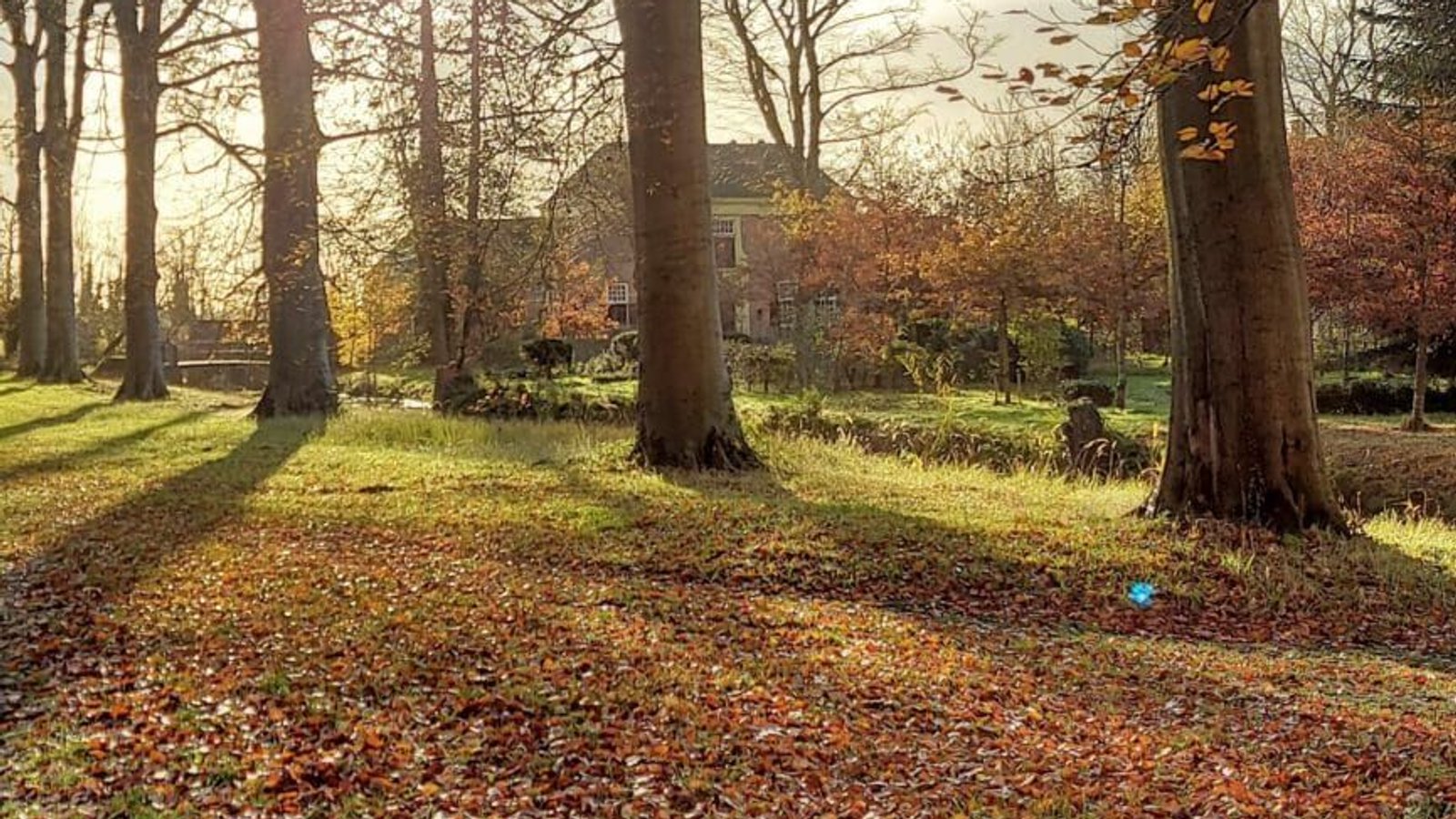 Heilooer-bos.jpg