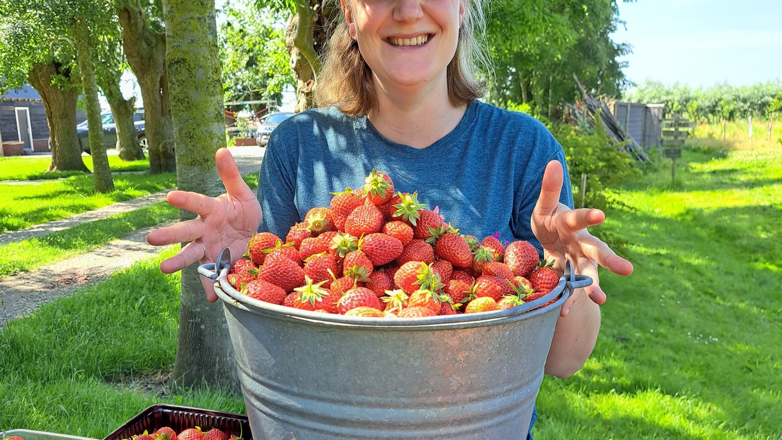 Aardbeien Oogstfeest Heer Ikigai Vrijwilliger Ires Ghielen PHOTO-2025-06-14-11-30-33.jpg
