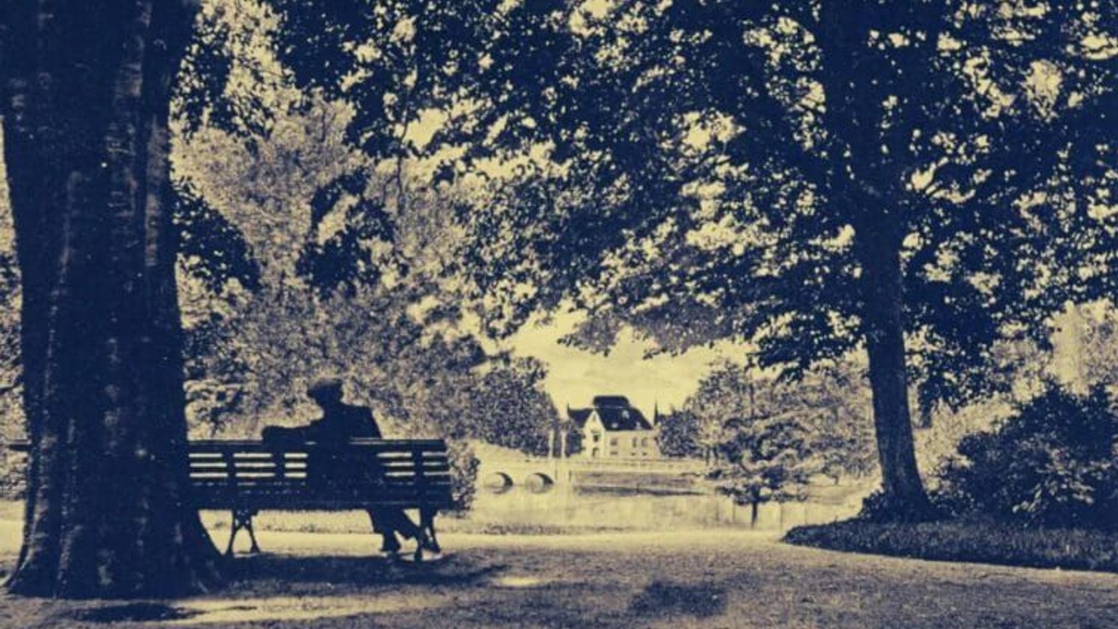 Alkmaarder-Hout.jpg