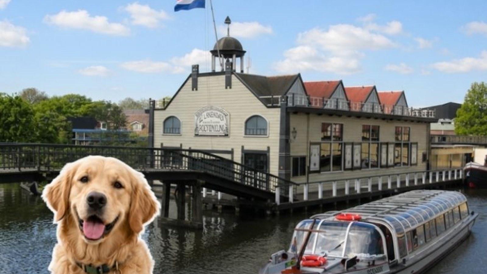 int honden dag mbv.jpg