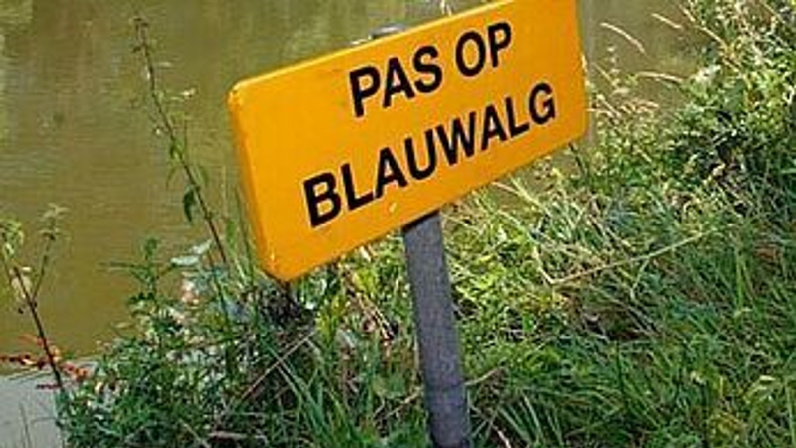 OpenWater.jpg