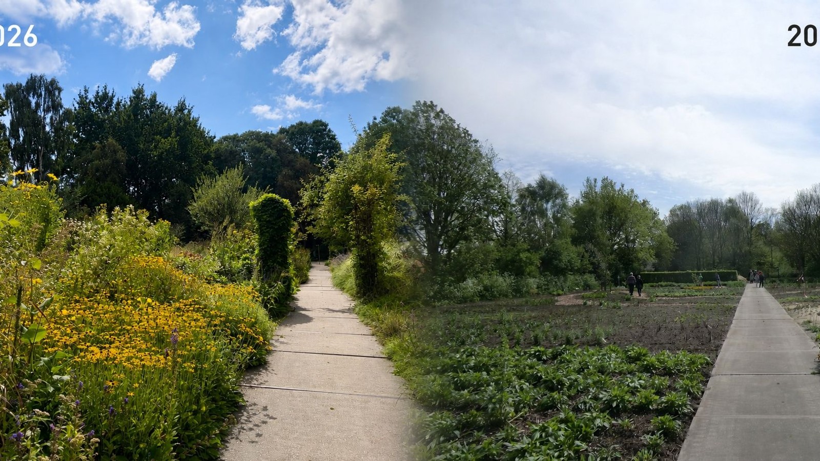 Hortus Alkmaar 2011 - 2026_.jpg