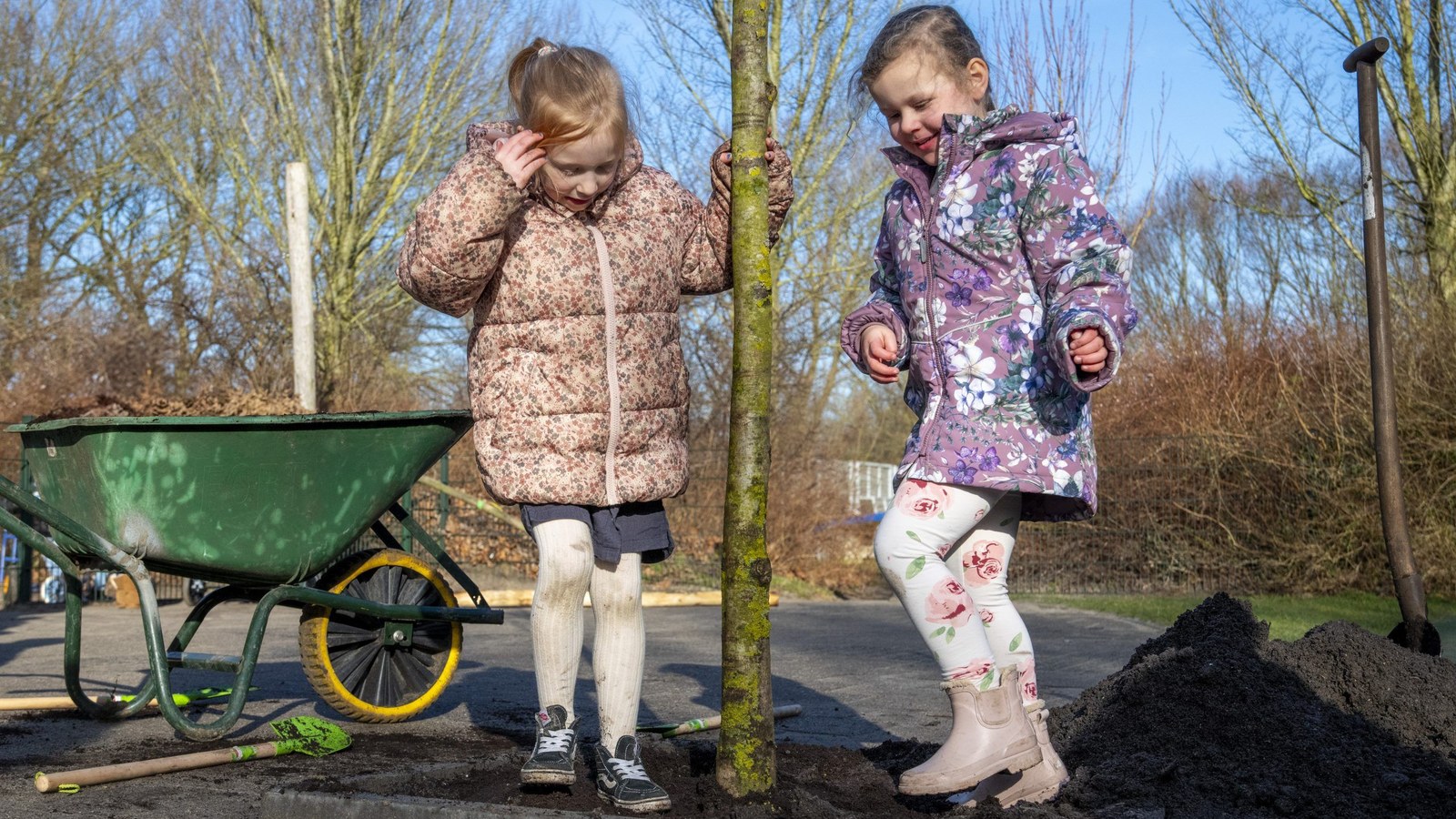 Twee kinderen helpen bij het planten van een boom.