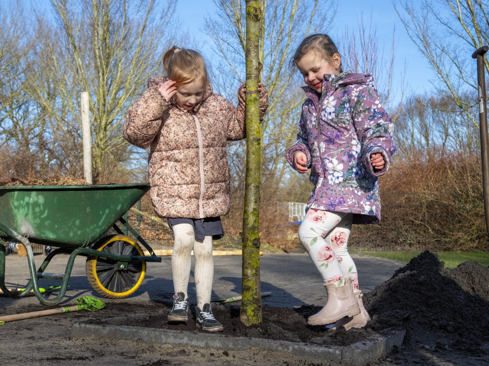 Twee kinderen helpen bij het planten van een boom.