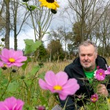 Man in tuin tussen roze en gele bloemen, bare takken en groen gebladerte op achtergrond, zonnig weer.