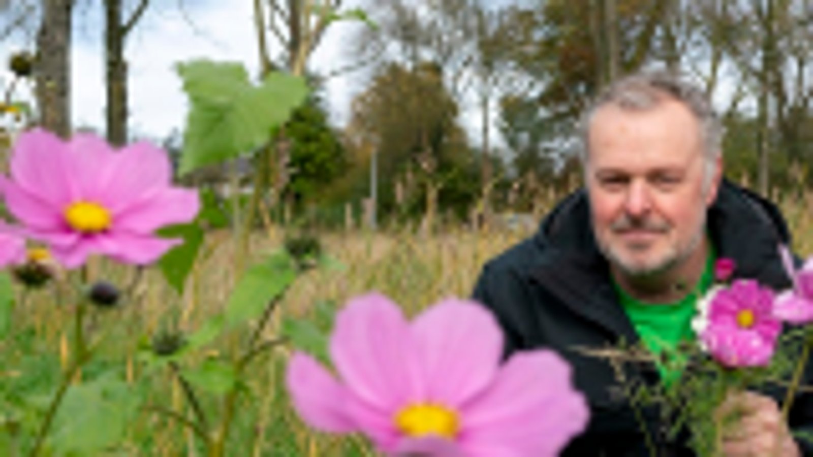 Man tussen roze en gele bloemen in een tuin met bomen op de achtergrond.