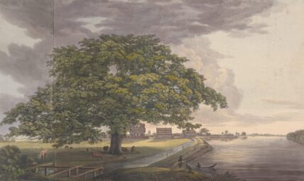Plantage Alkmaar. Alkmaar in Suriname 1745-heden