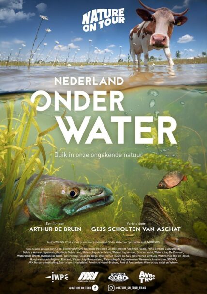 PvdD benadrukt het belang van water in de kop van Noord-Holland