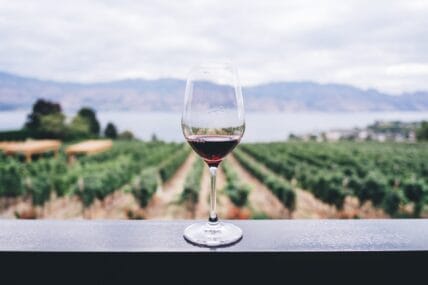 Wat voor wijn drink je eigenlijk bij mosselen?