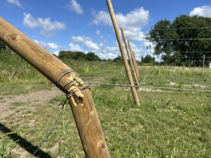 Waar is deze foto gemaakt?