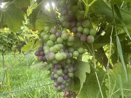 Waar is deze foto gemaakt?