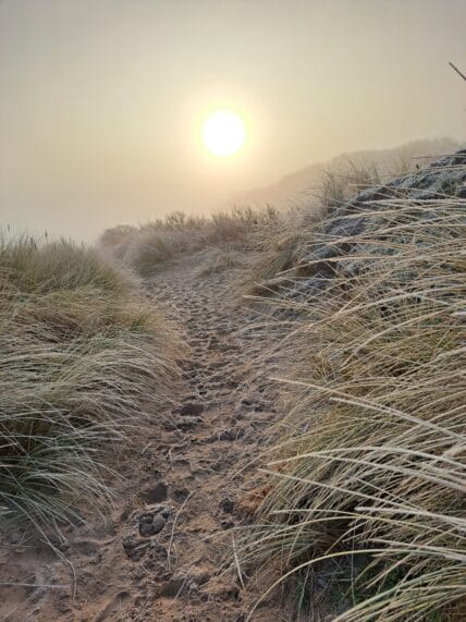 Winterwandeling door bos en duin